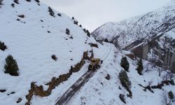 Çatak'ta çığın kapattığı mezra yolu 13 gün sonra açıldı