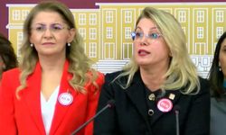 CHP'li Kaya: İktidarda olan anlayış, Cumhuriyet devrimleri ile hesaplaşma peşindedir