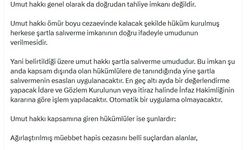 Cumhurbaşkanı Başdanışmanı Uçum: Umut hakkı, Öcalan'a yönelik bir tahliye imkanı değildir