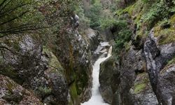 Dağcılar, yağışlar sonrası su seviyesi yükselen dereden geçerken zor anlar yaşadı
