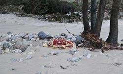 Debisi yükselen dereye düştü; cesedine ulaşıldı