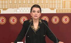 DEM Parti'li Koçyiğit: Barış yasaları ivedilikle çıkmalı