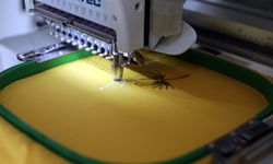 Depremzedelere yardım için bir araya gelen kadınlar kooperatif kurdu