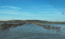Derenin taşması ile yollar ve tarım arazilerini su bastı; mahsur kalan sürücü kurtarıldı
