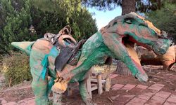 Dinozor Park'ta kuş yuvalarının parçalanmasına tepki