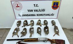 Durdurulan araçta ruhsatsız av tüfeği ile vurulmuş 12 kınalı keklik ele geçirildi
