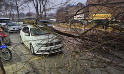 Edirne ve Kırklareli için 'fırtına' uyarısı