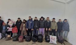 Edirne'de 14 kaçak göçmen yakalandı