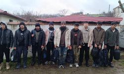 Edirne'de 9 kaçak göçmen yakalandı