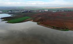 Edirne'de Kocadere Göleti'nin doluluk oranı yağışlarla arttı