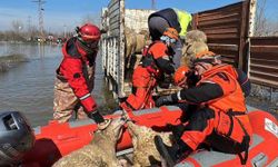 Edirne'de nehirlerin debileri arttı, köprüler trafiğe kapatıldı (2)