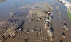 Edirne'de nehirlerin debileri arttı, köprüler trafiğe kapatıldı