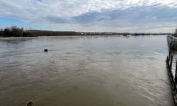 Edirne'de nehirlerin debileri düşüyor