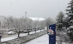 Elazığ'da kar yağdı; 115 köy yolu ulaşıma kapandı