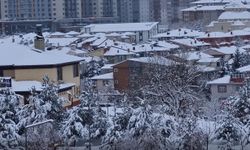 Erzurum'da kar yağışı; 775 mahalle yolu kapandı