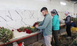 Eşi ile sevgililere rengarenk güller yetiştirdi