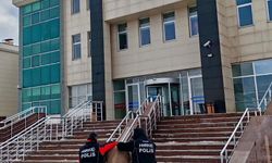 Evden kilolarca uyuşturucu üretecek saf bonzai çıktı