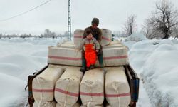 Evlenip Tunceli'ye yerleşti, köy hayatına 2 yaşındaki oğlu Güneş'i de alıştırıyor / Ek fotoğraflar