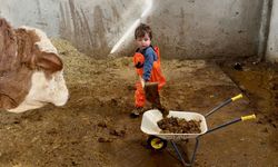Evlenip Tunceli'ye yerleşti, köy hayatına 2 yaşındaki oğlu Güneş'i de alıştırıyor