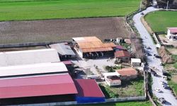 Fabrika işçisi Sinan'ın öldürülmesi talimatı, organize suç örgütünden / Ek fotoğraflar