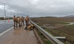 Gaziantep'te askeri araç devrildi; 10 yaralı