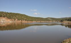 Gaziantep'te yağışlardan sonra göletler yüzde 90 doluluk seviyesine ulaştı