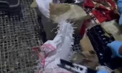 Güvercin kümesinde 124 ruhsatsız tabanca ele geçirildi; 3 gözaltı