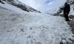 Hakkari-Van ve Hakkari-Çukurca kara yollarına çığ düştü