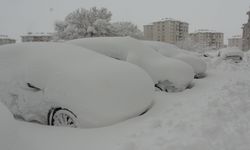 Hakkari'de 210 yerleşim yeri yolu kapandı; araçlar kara gömüldü
