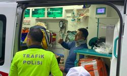 Hastanenin güvenlik kulübesine çarpan hafif ticari araçtaki baba ve oğlu yaralandı
