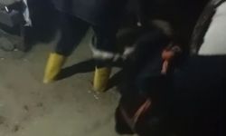 Hatay'da sağanak; dere taştı, evi ve ahırı su bastı