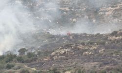 Hatay'da yangın; turistik yerler geçici olarak ziyaretçilere kapatıldı (2)