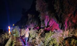 Heyelanda kapanan sahil yolu açıldı