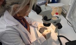 Hz. İsa tasvirli 1300 yıllık ekmeklerin konservasyonu, 2 yılda tamamlandı