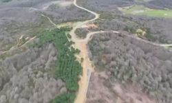 İstanbul - Arnavutköy'de çiftlik sahibi çalışanını elektrikli testereyle yaraladı