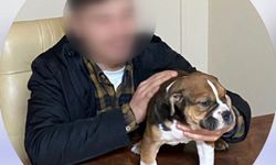 İstanbul - Arnavutköy'de tartıştığı kardeşini silahla öldürdü