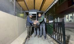 İstanbul - 'Cinsel saldırı' suçundan 9 yıldır aranan firari, Küçükçekmece'de yakalandı