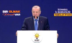 İstanbul- Cumhurbaşkanı Erdoğan: İran'a yönelik saldırılardan derin üzüntü ve endişe duyuyoruz -1