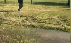 İstanbul - Küçükçekmece'de çukura düşen Edanur Gezer'in ölümüne ilişkin davada karar / Geniş haber