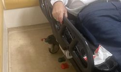 İstanbul - Sultangazi'de cami avlusunda dayısına kaldırım taşıyla saldırdı