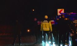 Zeydan Karalar cezaevinden tahliye edildi