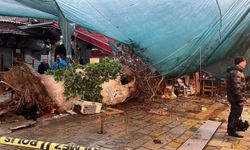 İzmir Çeşme'de sağanak; yollar göle döndü (4)