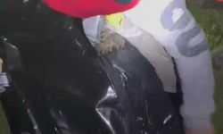 İzmir'de dereye düşen çocuk için arama çalışması başlatıldı (3)