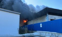 İzmir'de geri dönüşüm fabrikasında yangın (2)