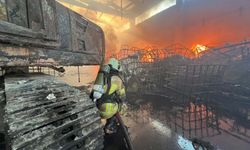 İzmir'de geri dönüşüm fabrikasında yangın/Ek fotoğraflar