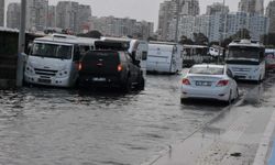 İzmir'de kuvvetli rüzgarda park halindeki otomobilin üzerine ağaç devrildi (2)