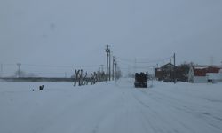 Japonya'da yoğun kar yağışı nedeniyle hayatını kaybedenlerin sayısı 30'a yükseldi