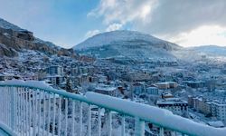 Karaman'da kar etkili oldu