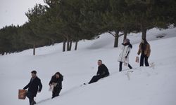 Karlara bata çıka Palandöken'de kuşlar için yem bıraktılar