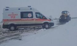 Kars'ta seferber olan ekipler, yolu kapanan köylerdeki vakalara koştu